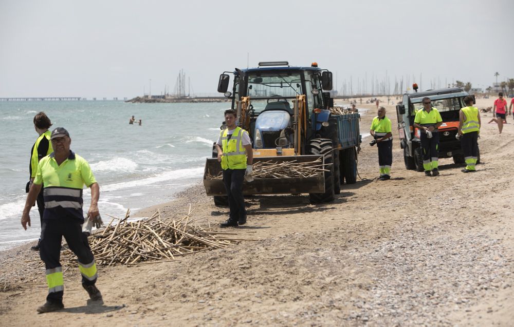 Carrera a contrareloj para tener a punto la playa de Canet d'En Berenguer