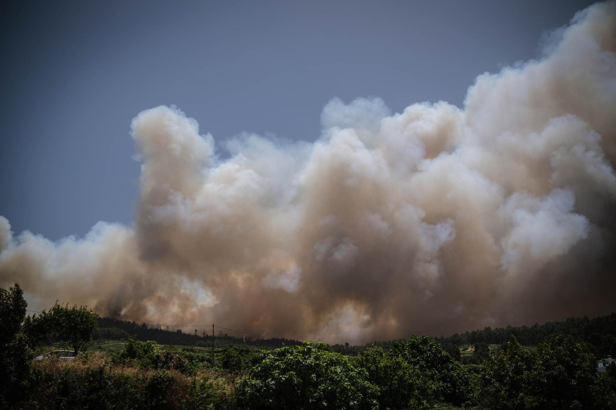 El incendio forestal de Tenerife, en imágenes