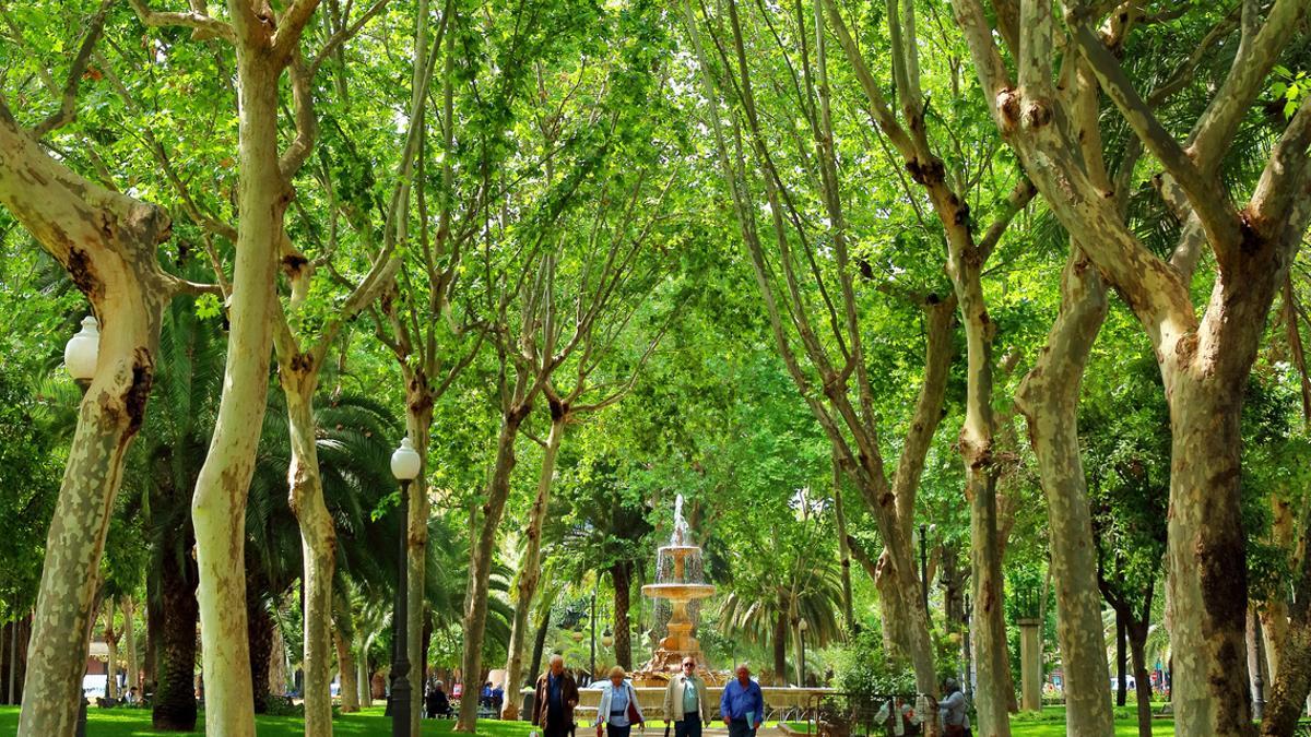 Cinco parques para conectar con la naturaleza sin salir de Córdoba