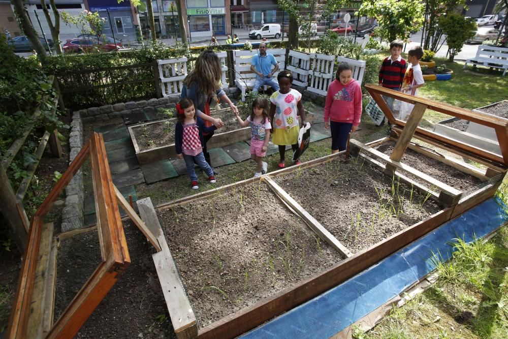 El colegio Quirinal estrena huerto.