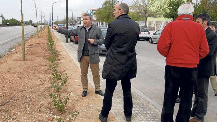 El alcalde de Inca muestra como se ha plantado la nueva vegetación de la calle Teixidors.