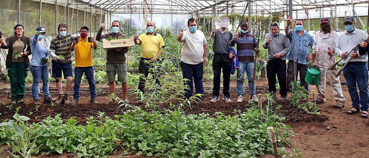 Loa usuarios y voluntarios que trabajan en los terrenos de Cabral.