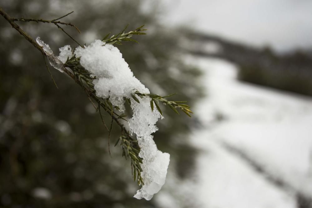 En plena primavera la nieve regresa a Deza. // Bernabé | Ana Agra