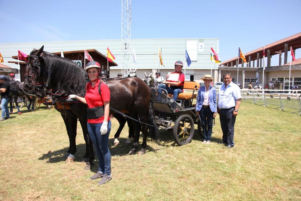 Diego Souto, ganador de enganches tronco.