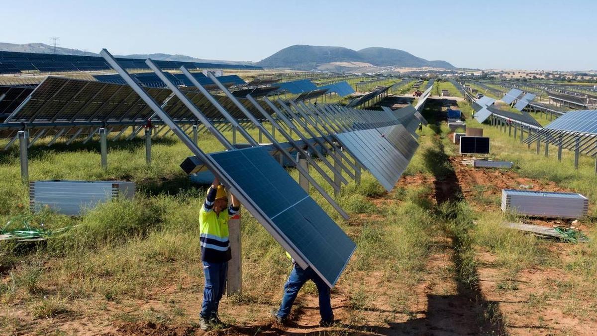 Imagen de la instalación de placas solares en un parque.
