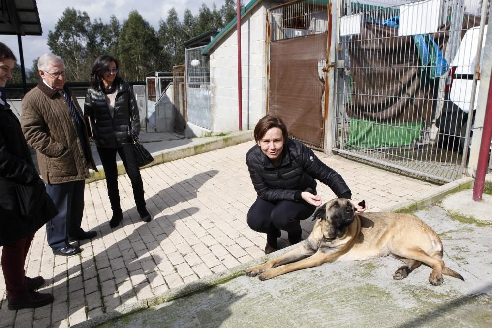 Carmen Moriyón y Maniel Arrieta visitan el Albergue de Animales de Serín