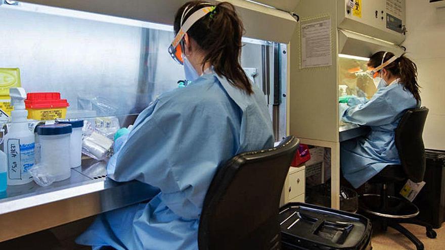 El laboratori de l&#039;hospital Clínic, on s&#039;analitzen proves PCR.