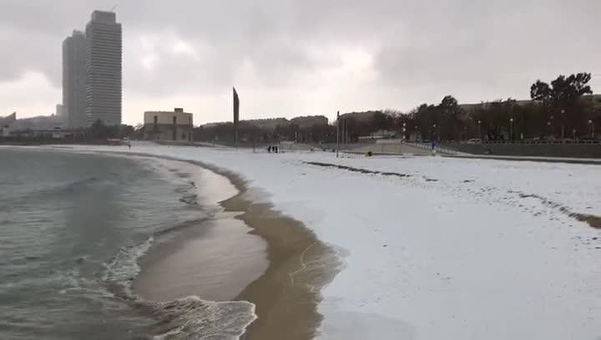 La platja de la Nova Icària mostra un aspecte inusual.