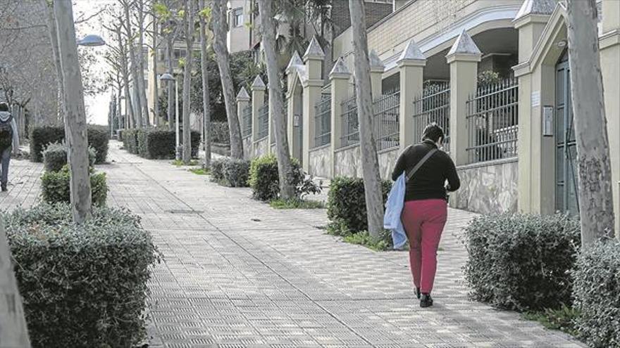 El Ayuntamiento de Cáceres estudia sustituir el arbolado del R-66