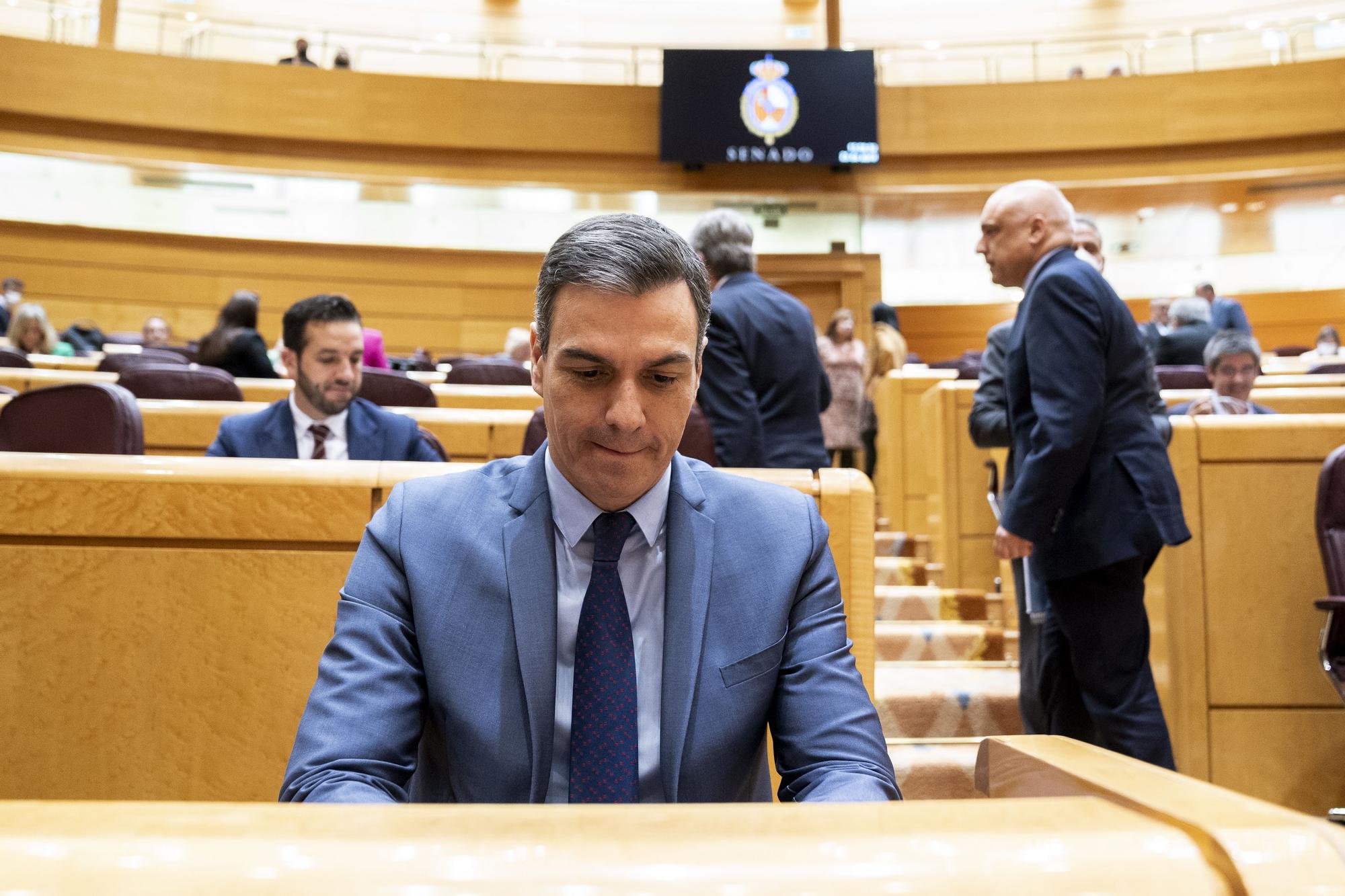 El presidente del Gobierno, Pedro Sánchez, en una sesión de control al Gobierno en el Senado.