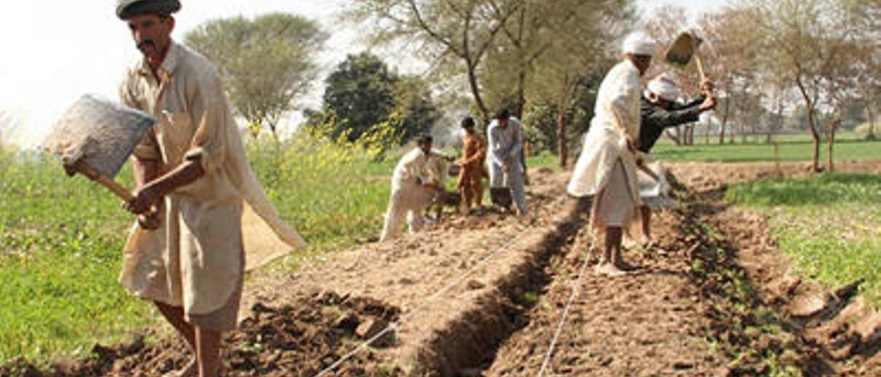 Llauradors de l´Orient Mitjà cavant la terra per a plantar les llavors.