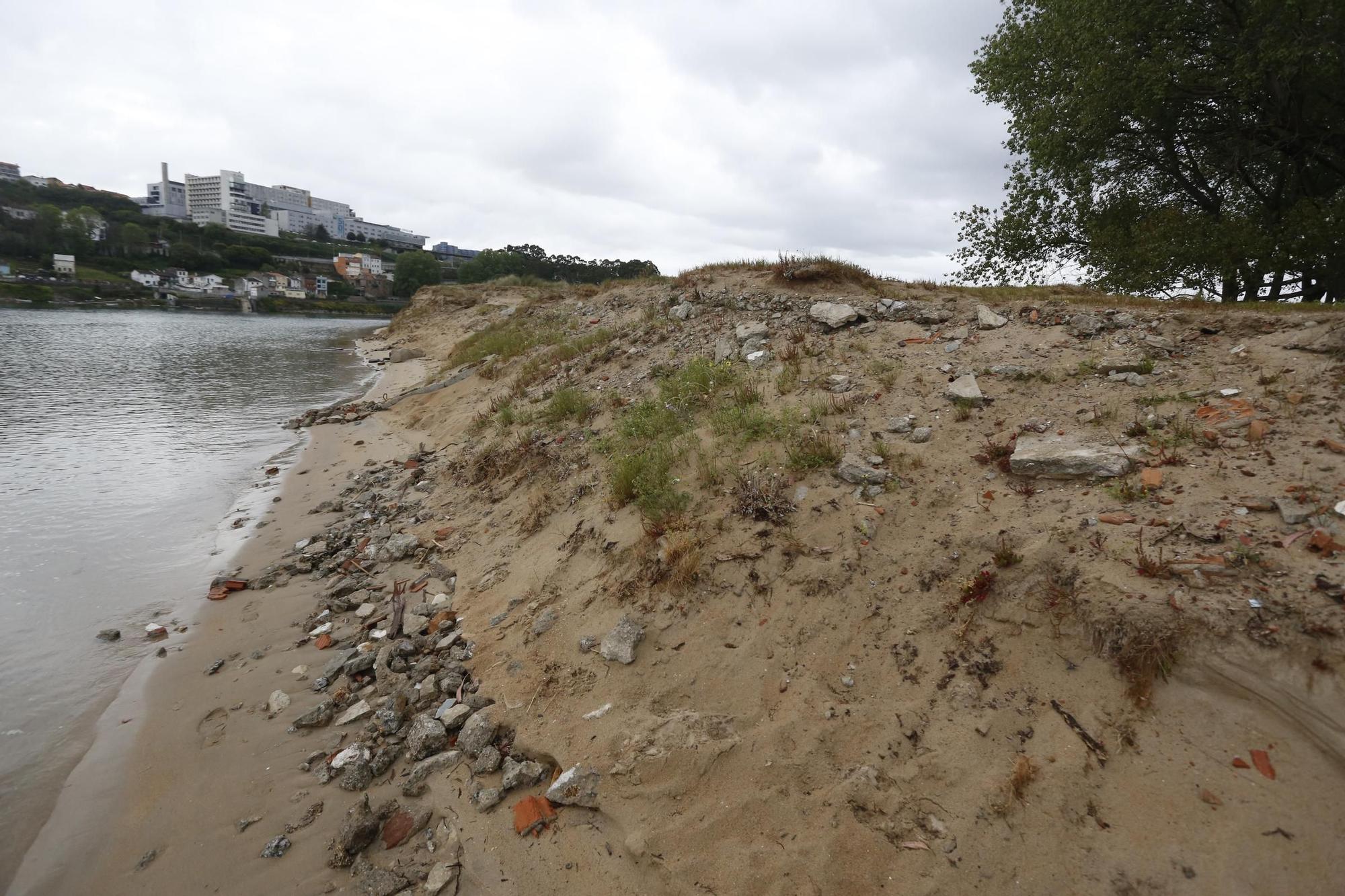 Seoane exige a Costas que retire escombros y dos árboles en el extremo de Santa Cristina