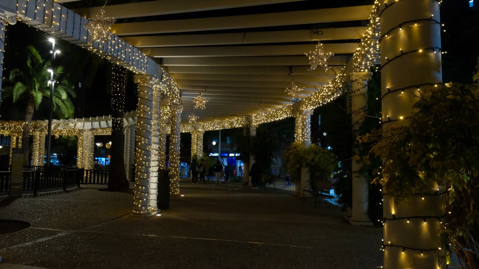 Las fotos de las nuevas luces de Navidad de la plaza de las Columnas de Palma