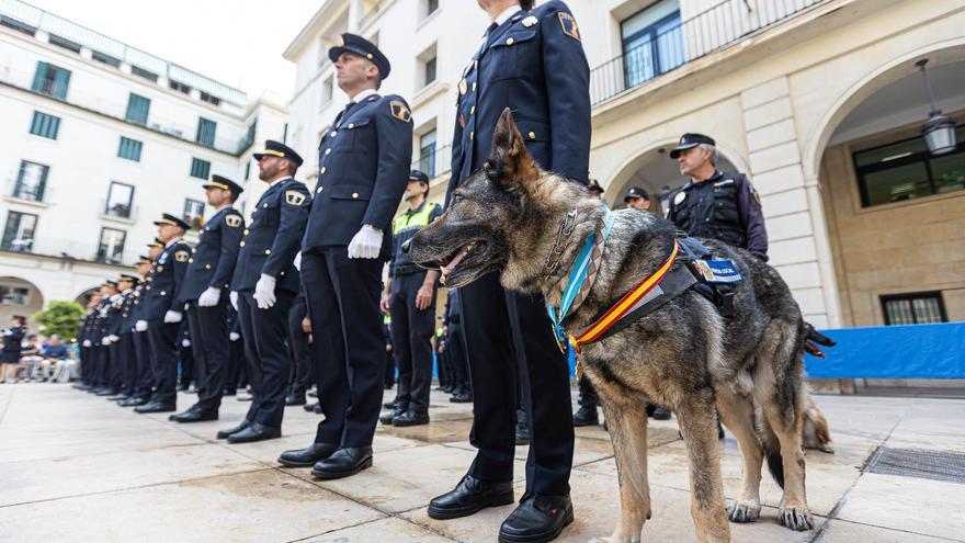 Alicante celebra el Día de la Policía Local en su 177 aniversario