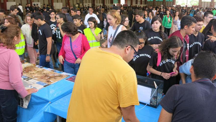 Vecindario, capital insular de Secundaria