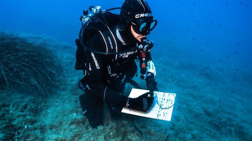 La Fundació Oceanogràfic s’uneix a la xarxa d’Observadors de la Mar del CSIC