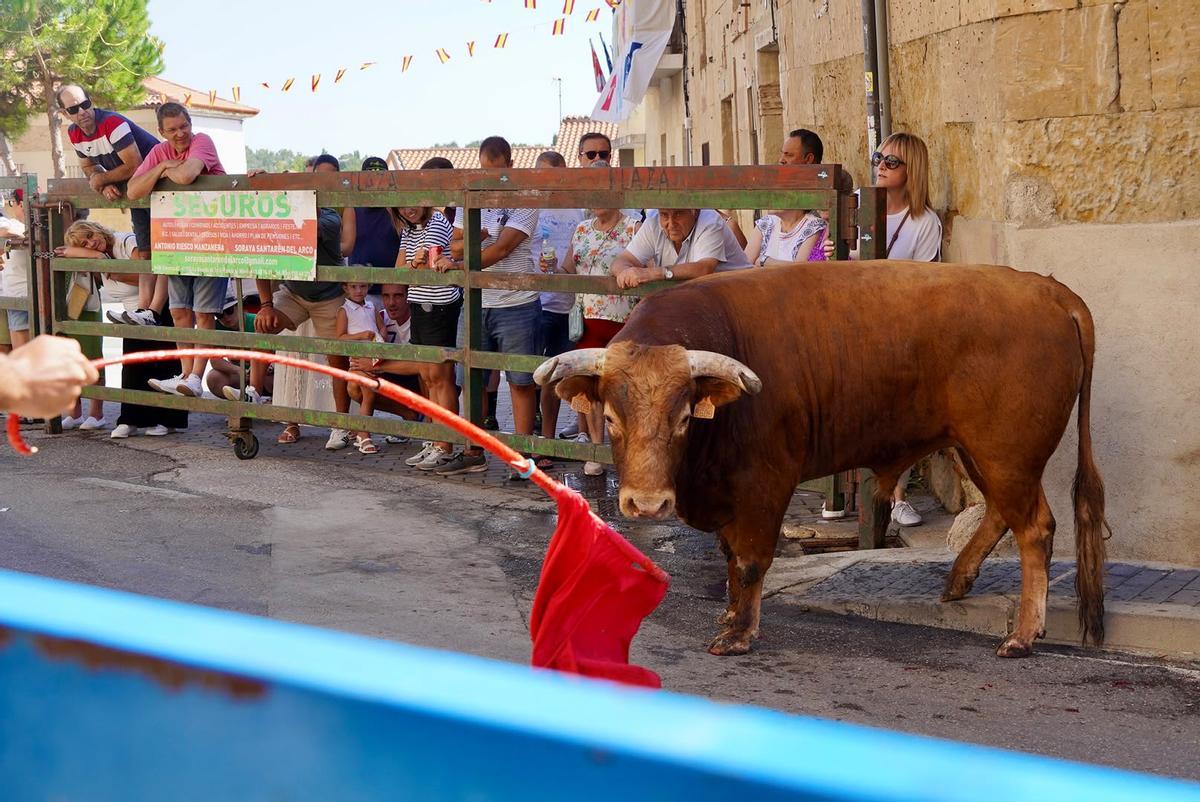 GALERÍA | Emoción y riesgo en el encierro de La Bóveda de Toro
