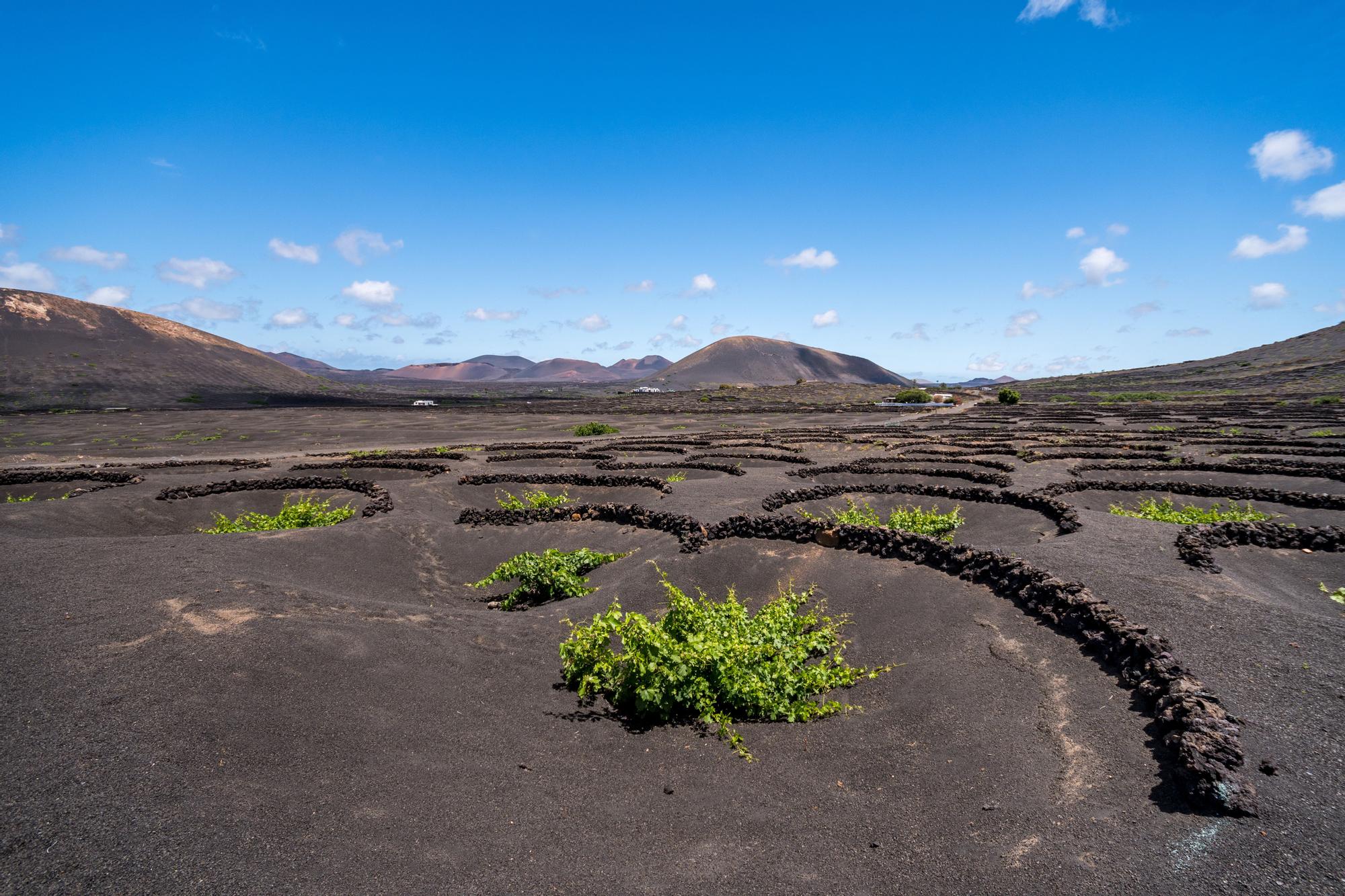 LANZAROTE, LA ISLA DIFERENTE