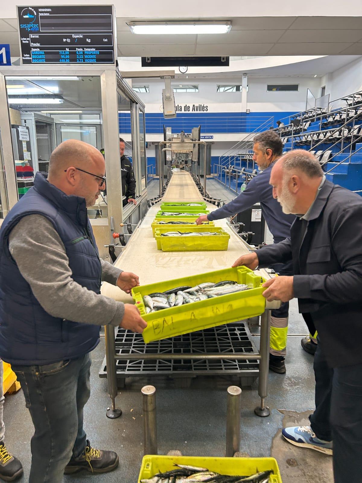 José Andrés en plena descarga de pescado en la Rula