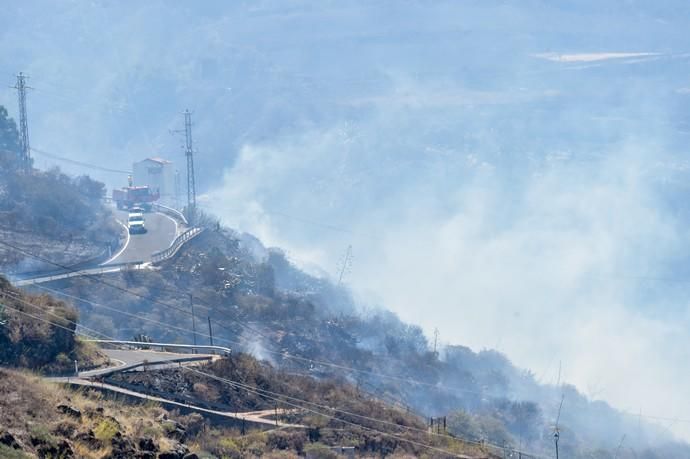 11-08-2019 Artenara. Segundo día del incendio en la cumbre  | 11/08/2019 | Fotógrafo: Andrés Cruz