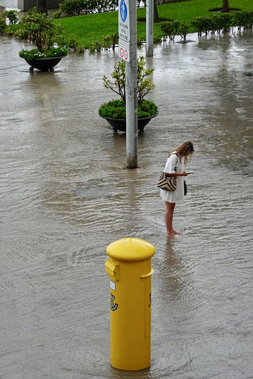 Una tormenta derriba una palmera y causa inundaciones en calles en Alcúdia