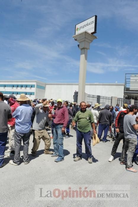 Protesta hortofrutícola en una empresa de El Raal