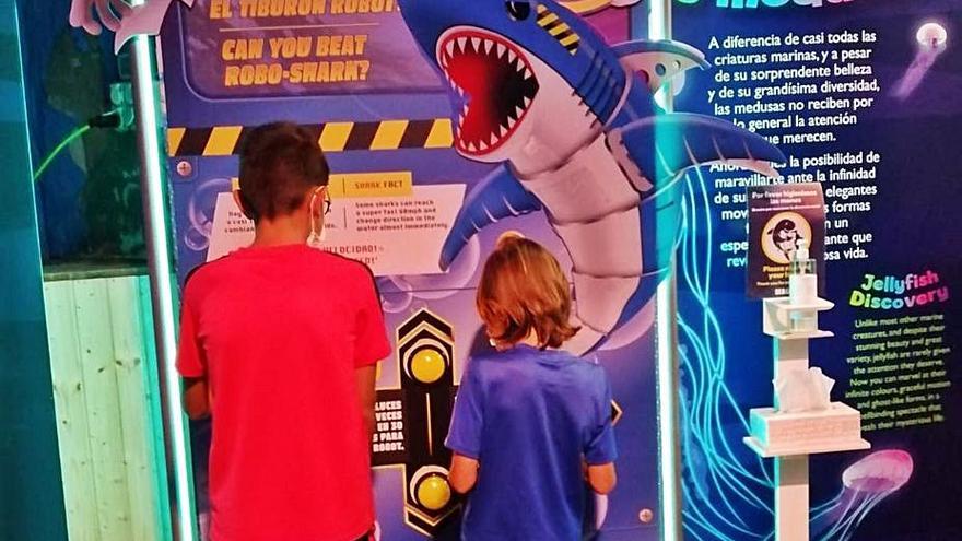 Dos niños desafían el poder de un tiburón