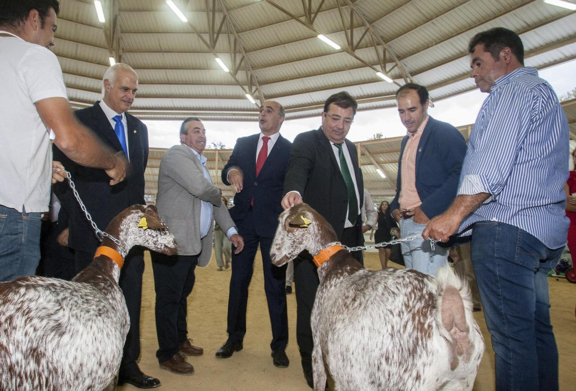 Guillermo Fernández Vara, 30 años al servicio de Extremadura