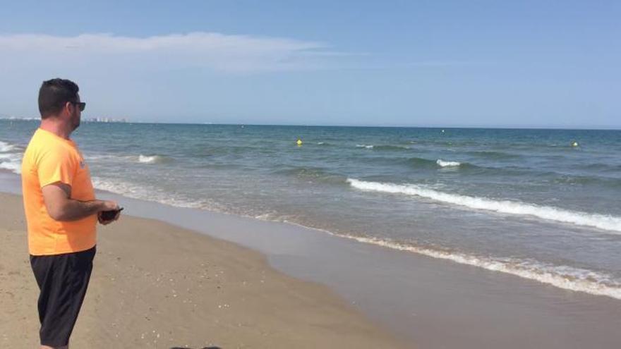 Un tiburón obliga a desalojar una playa en la Comunidad Valenciana