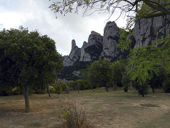 Vista. Amb una tarda una mica ennuvolada, magnífica vista, des de Santa Cecília, del Cavall Bernat, serrat de les Onze i del serrat del Patriarca.