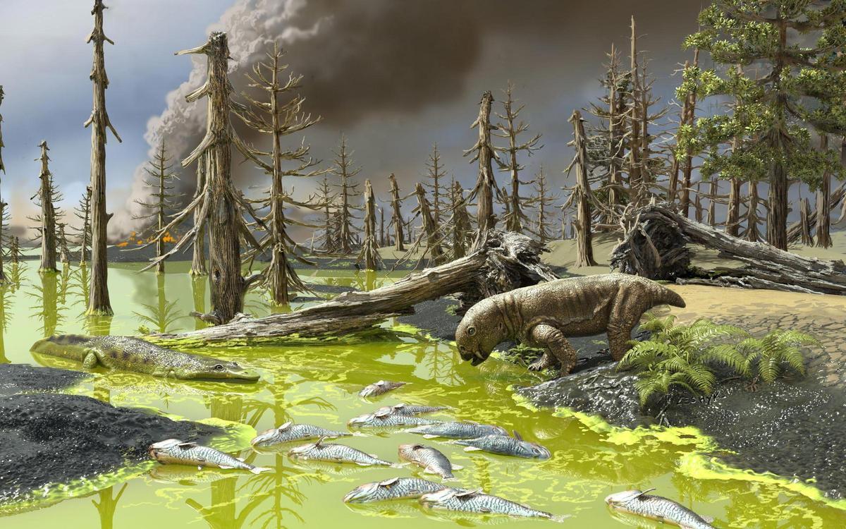 Recreación de la extinción masiva del final del Pérmico
