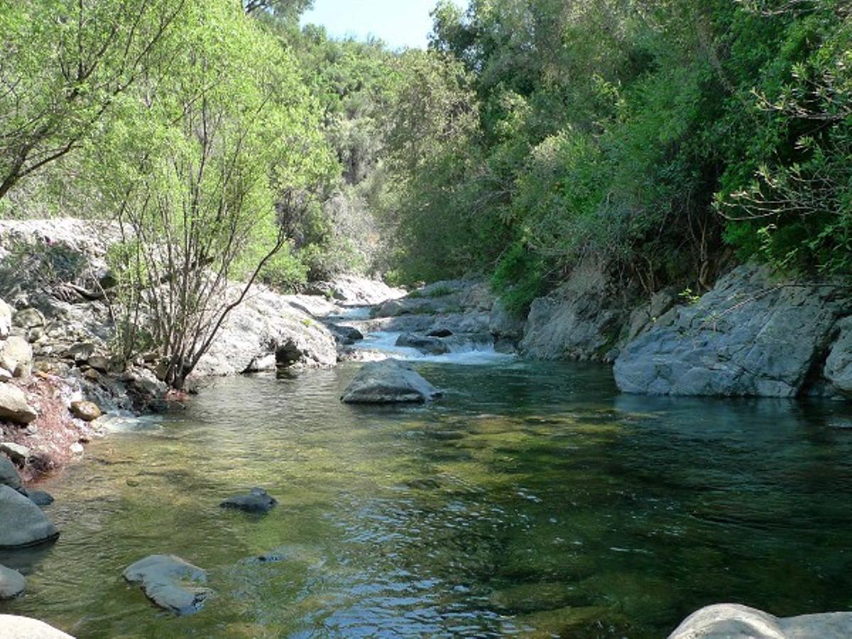 Ruta del río verde