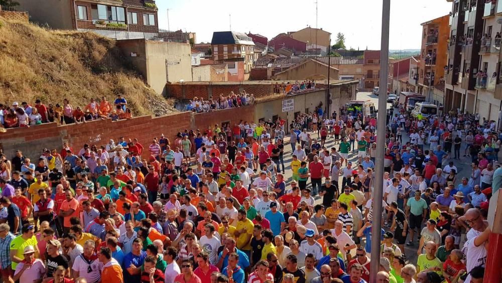 La carrera del Toro Enmaromado 2017 Razonador