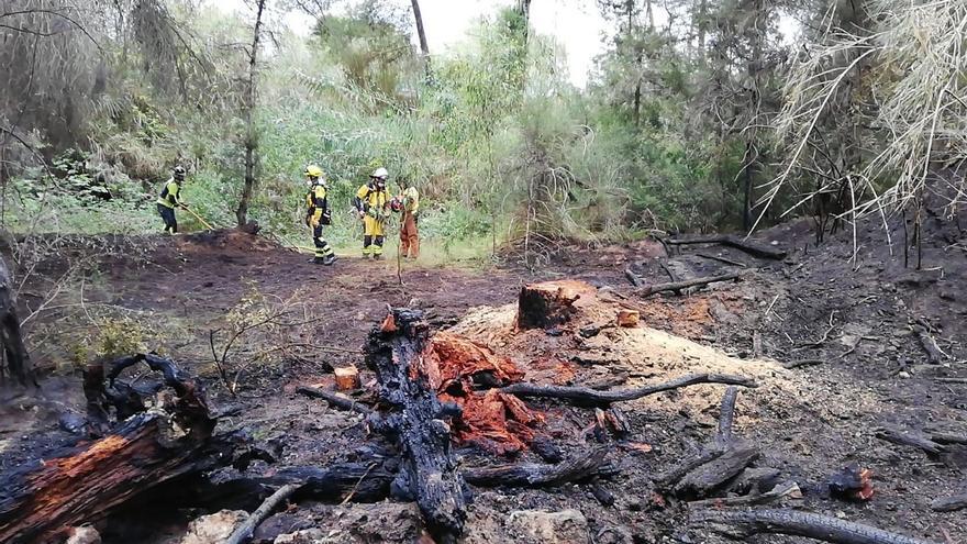 Alarma por un incendio forestal en Port des Torrent