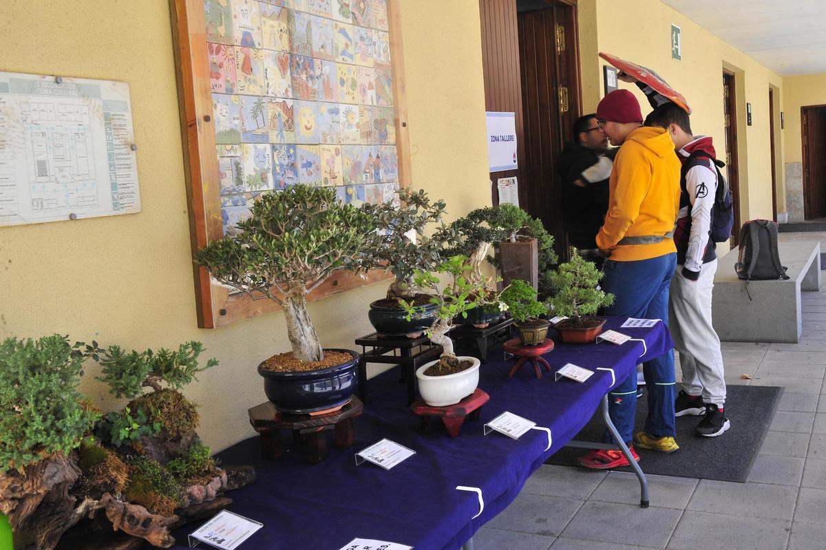 Tercer salón del manga en l'Escorxador