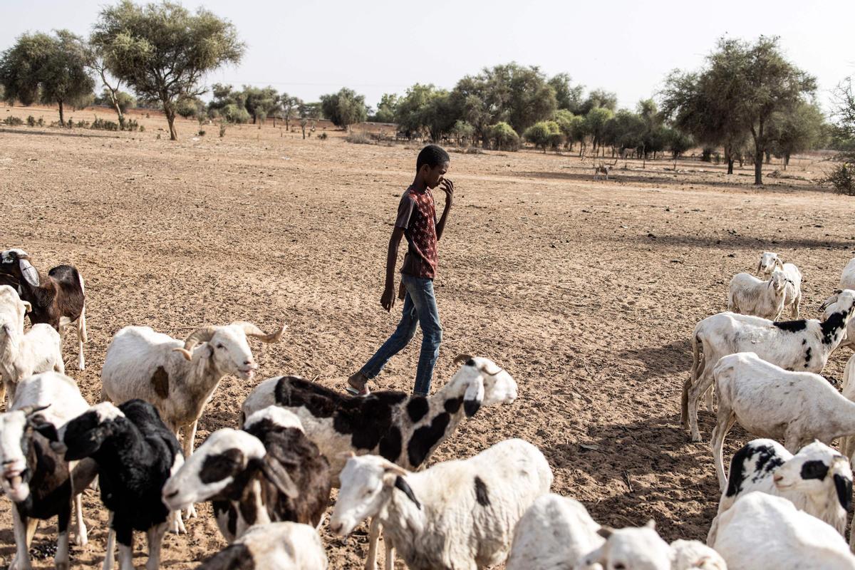 Calor extremo en la región de Matam, en el noroeste de Senegal