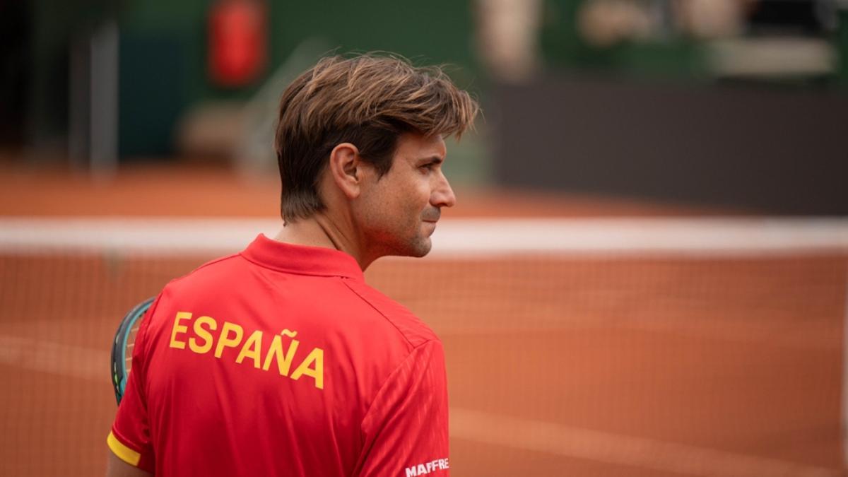 David Ferrer, capitán español