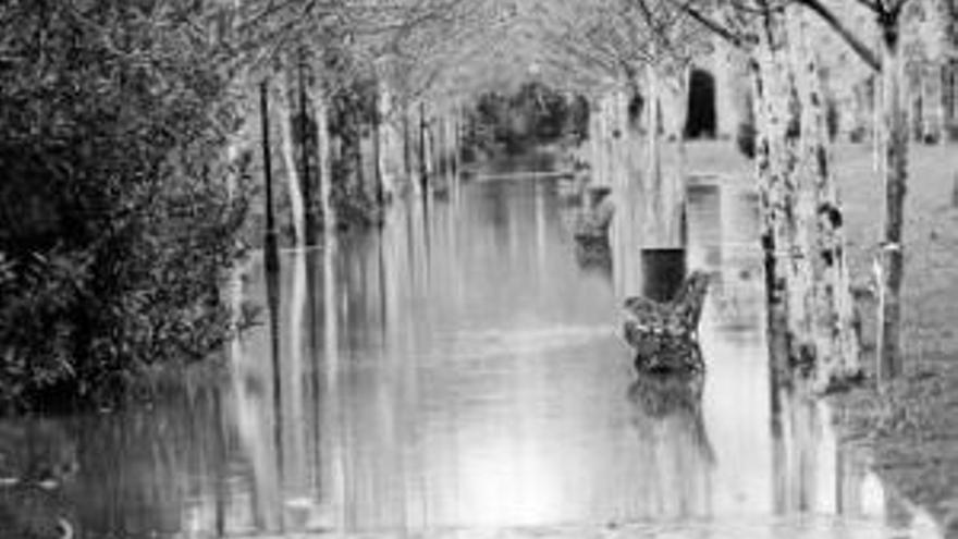 El temporal provoca daños por valor de dos millones en Mérida