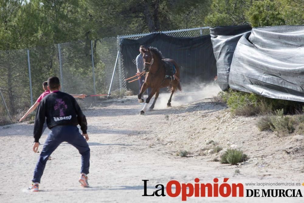 Entrenamiento Caballos del Vino