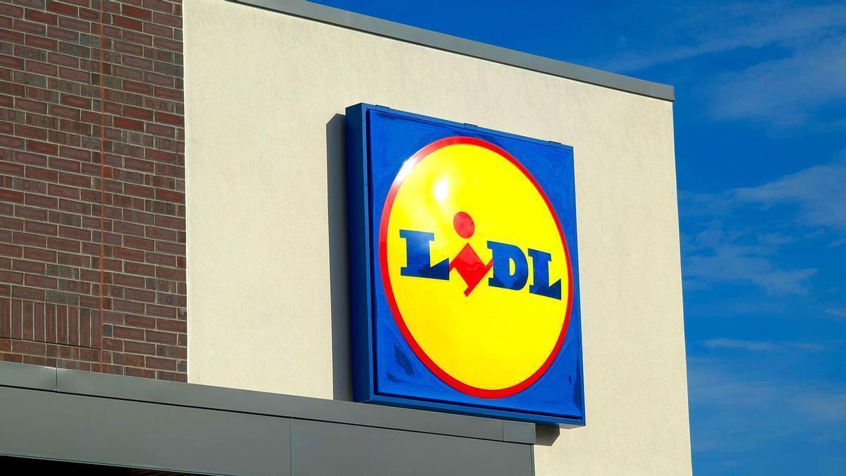 Mañana se esperan colas kilométricas en Lidl para conseguir la vajilla azulada de porcelana  ideal para terraza o jardín: 18 piezas y para todo tipo de comidas