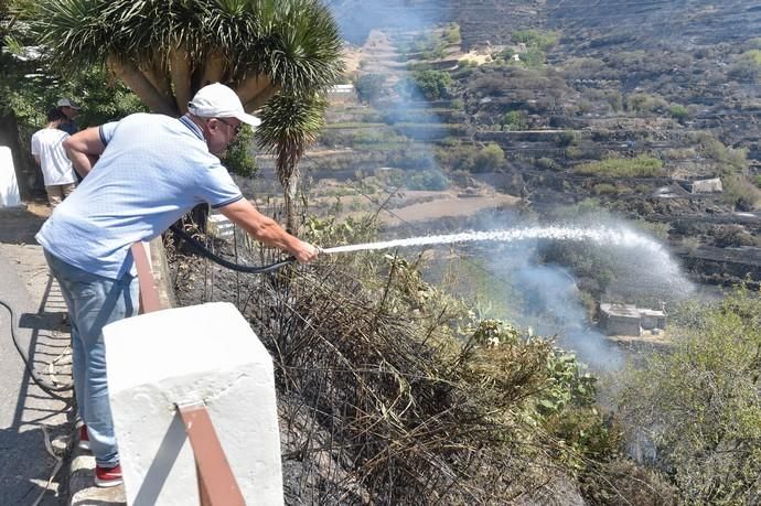 11-08-2019 Artenara. Segundo día del incendio en la cumbre  | 11/08/2019 | Fotógrafo: Andrés Cruz