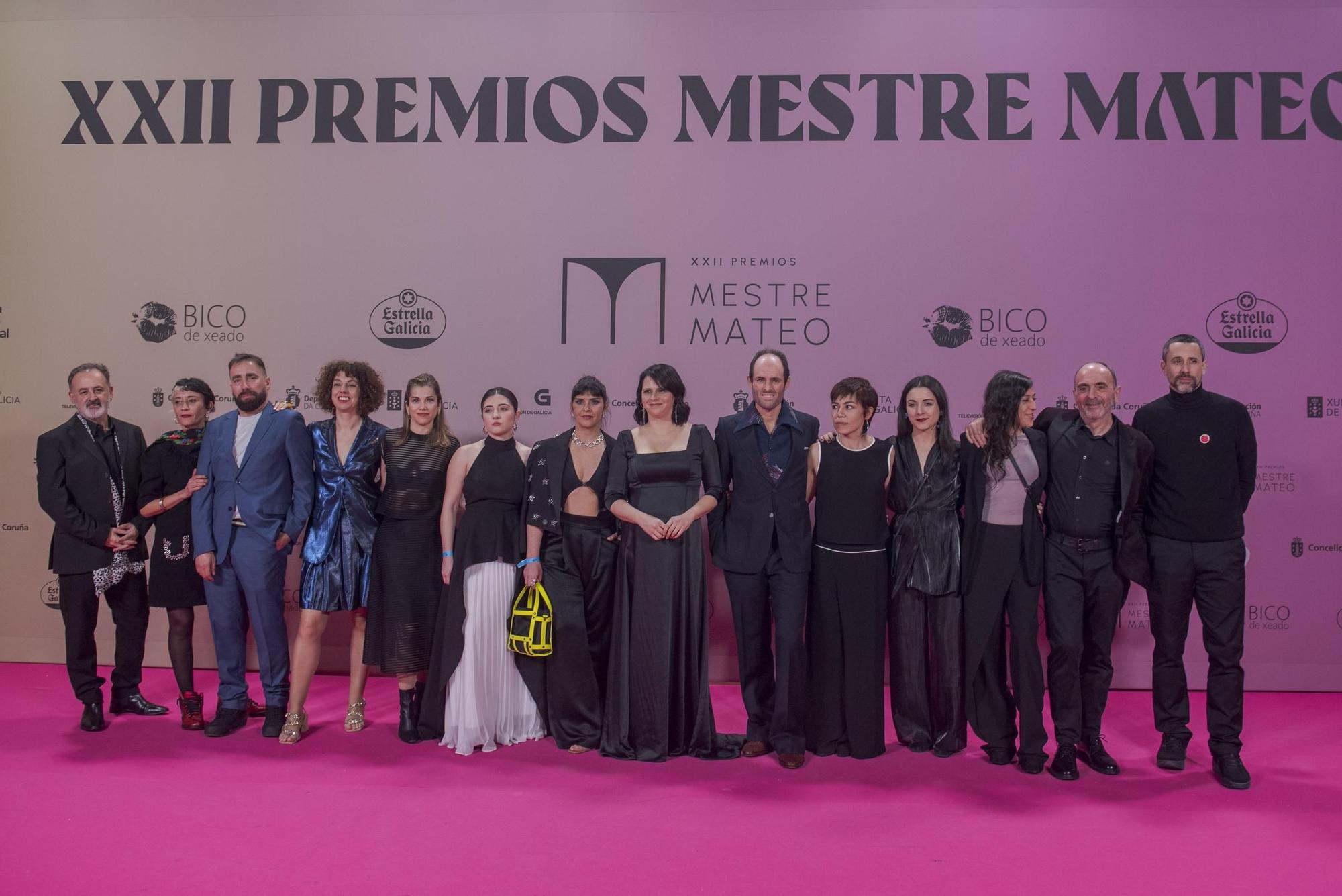 Gala dos premios Mestre Mateo 2024