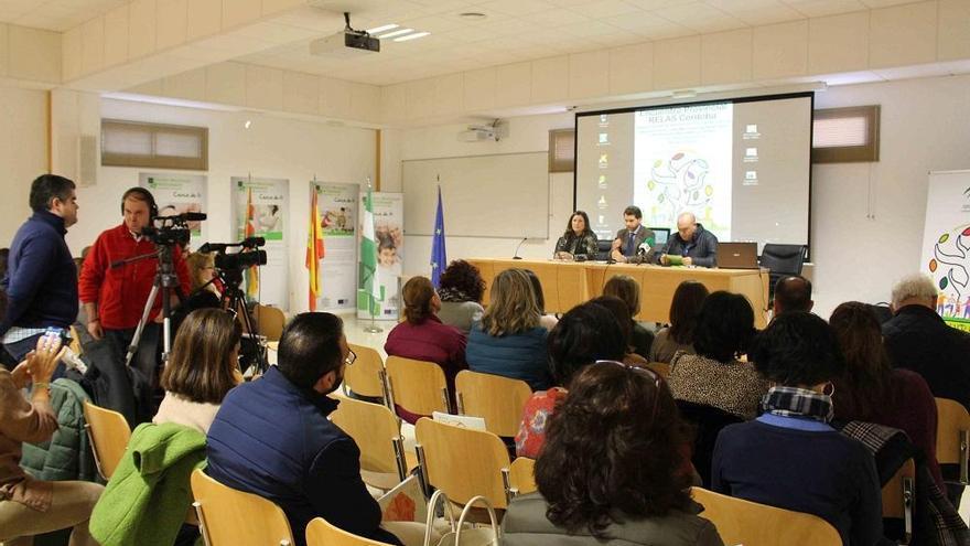 La Junta impulsa el Encuentro de Acción Local en Salud de localidades del Sur de Córdoba