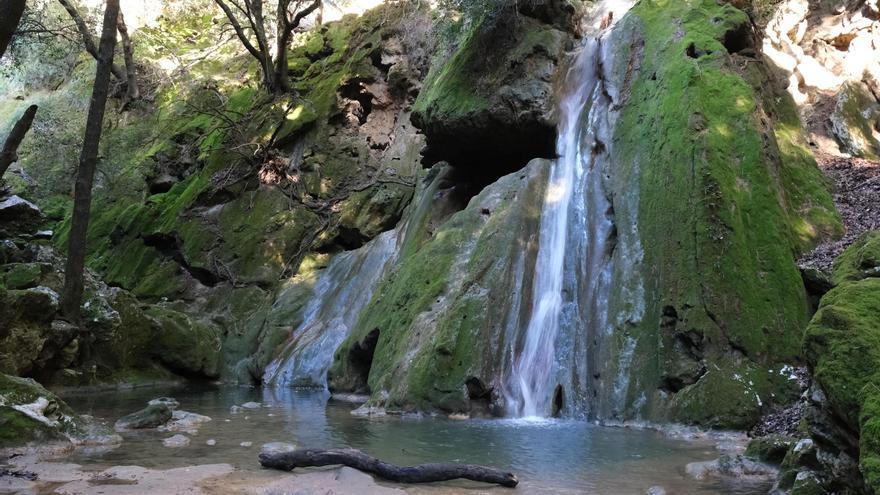 Las imágenes de la espectacular cascada del Salt del Freu