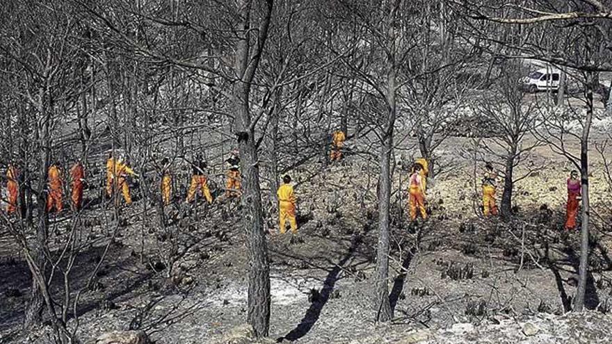 La superficie quemada fue de 2.347 hectÃ¡reas del Paraje Natural de la Serra, mÃ¡s de la mitad protegidas.