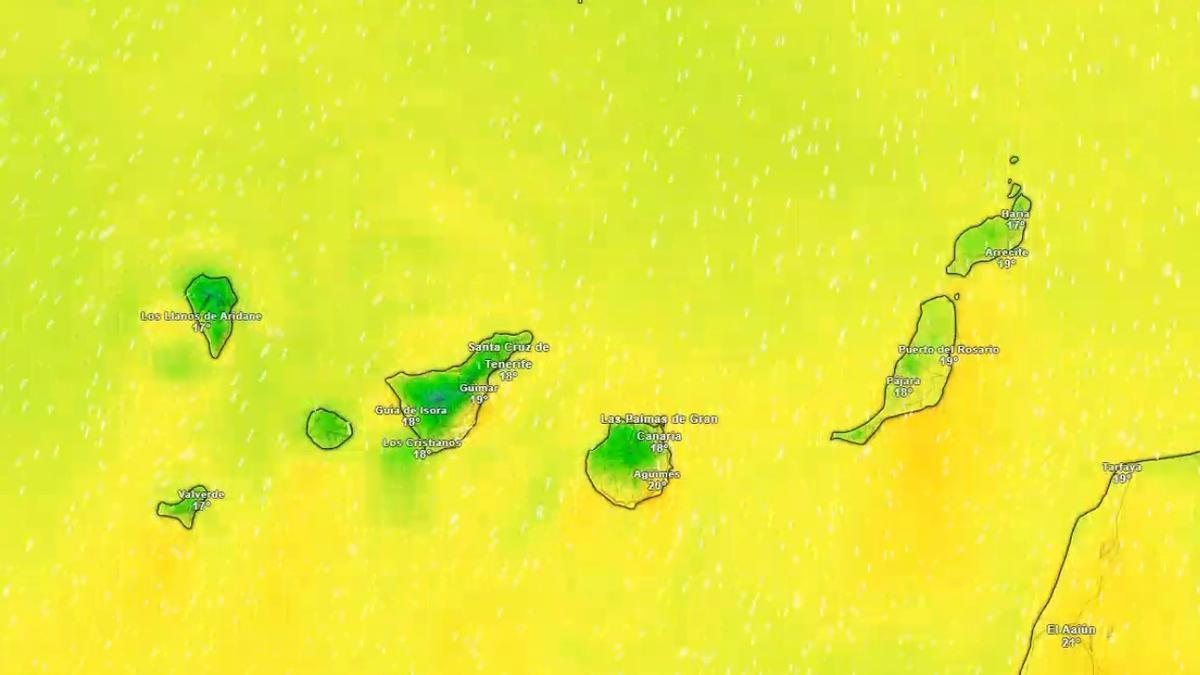 Predicción del tiempo en Canarias (del 11 al 15 de febrero)