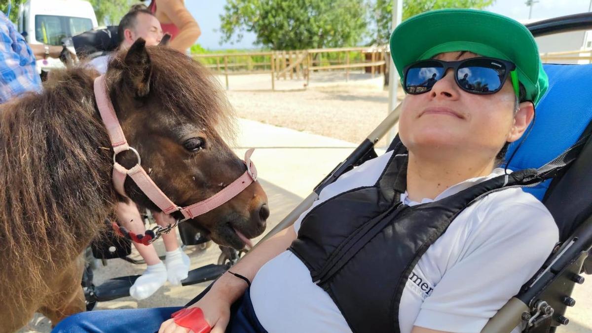 Una usuaria del Collet peina y mima a un caballo en un centro hípico de Benicarló.