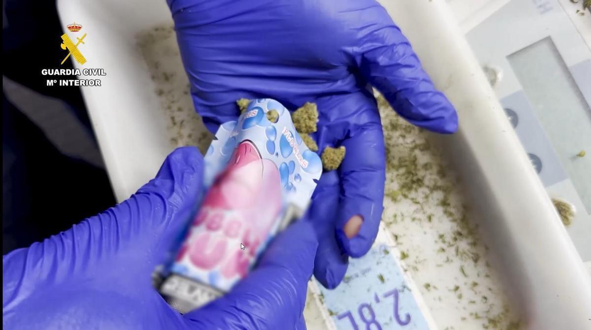La marihuana intervenida por la Guardia Civil se camuflaba en envases de chicle.