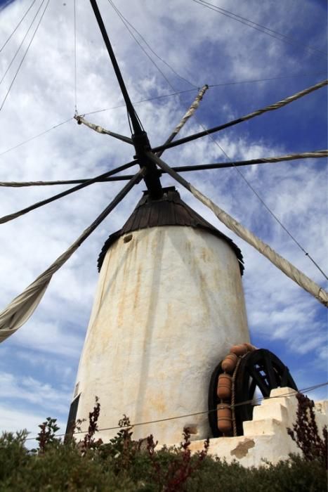 Molinos en Peligro de Extinción