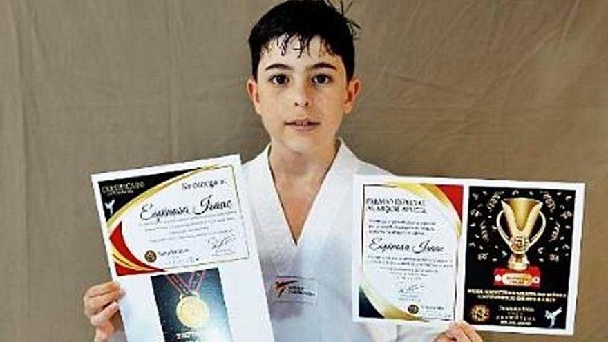 Un valenciano de 11 años, campeón del mundo online